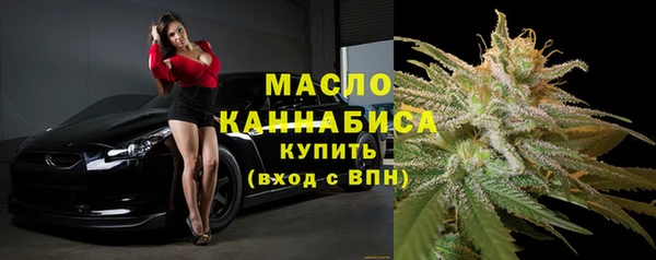 ешки Гусь-Хрустальный