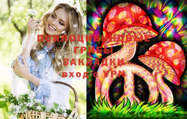 индика Гусиноозёрск