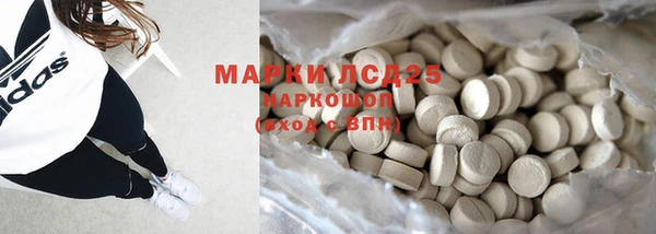 индика Гусиноозёрск