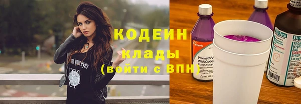 ешки Гусь-Хрустальный