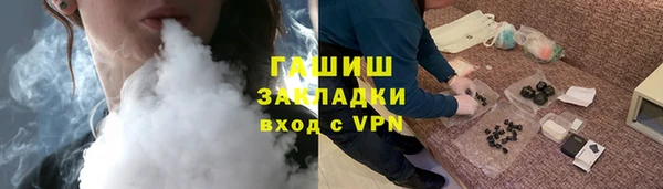 индика Гусиноозёрск