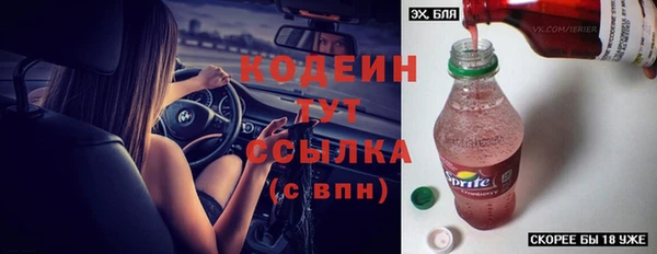 ешки Гусь-Хрустальный