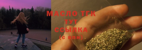 индика Гусиноозёрск