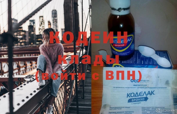 индика Гусиноозёрск