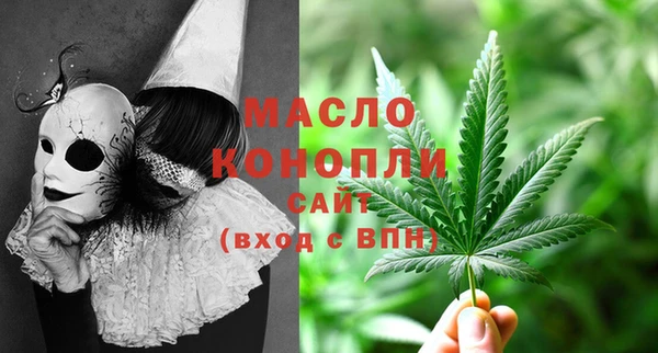 индика Гусиноозёрск