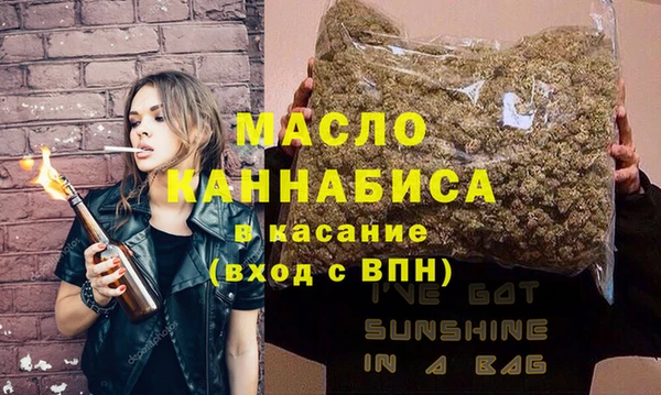 индика Гусиноозёрск