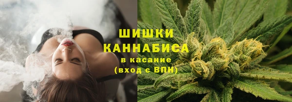 ешки Гусь-Хрустальный