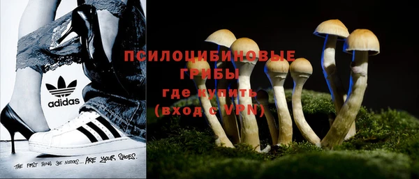 индика Гусиноозёрск