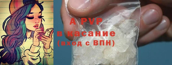 индика Гусиноозёрск
