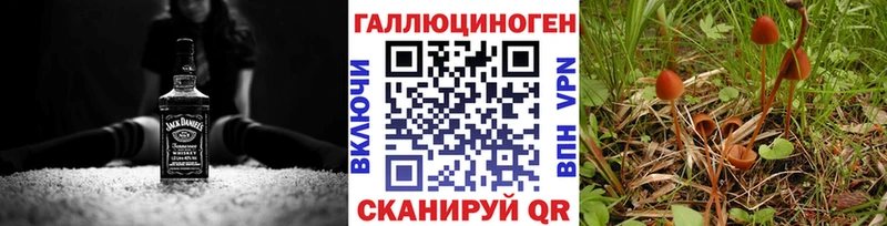 Купить закладки  Губкинский  Псилоцибиновые грибы Psilocybe 